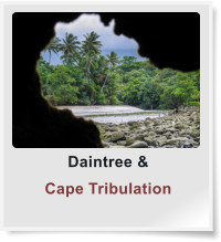 Daintree & Cape Tribulation